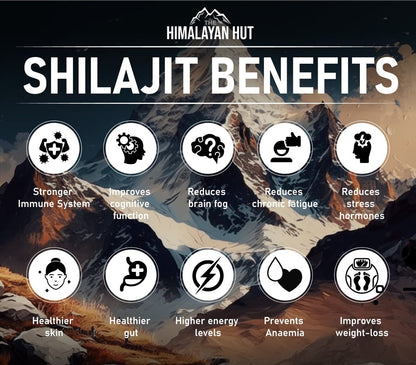 Pure Shilajit Resin | The Himalayan Hut